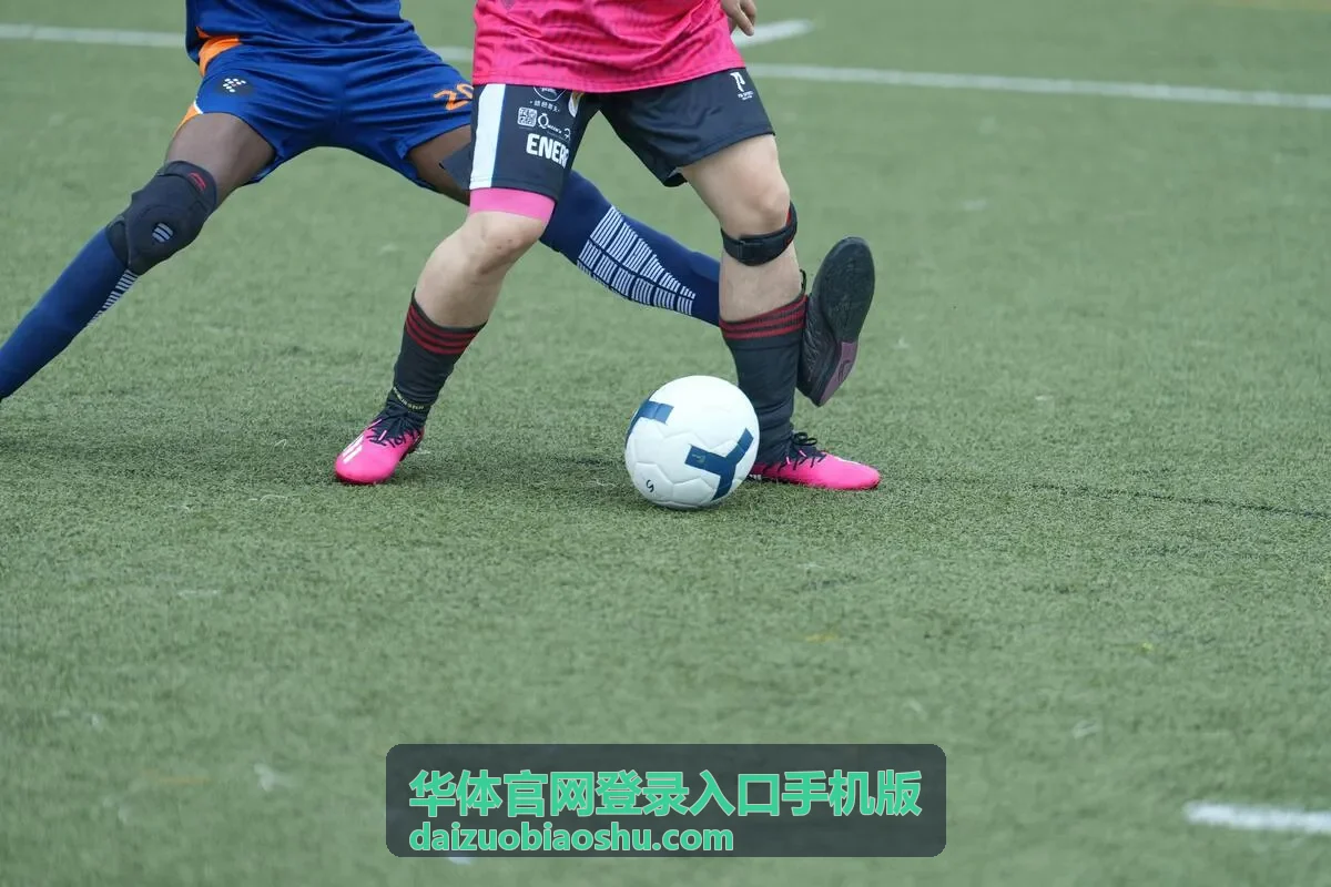 官网访问指引电脑端入口操作说明
